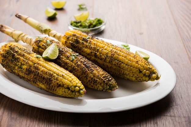 Delicious Indian street corn cob also called Bhutta, flavoured with spicy chilli, butter etc. Selective focus