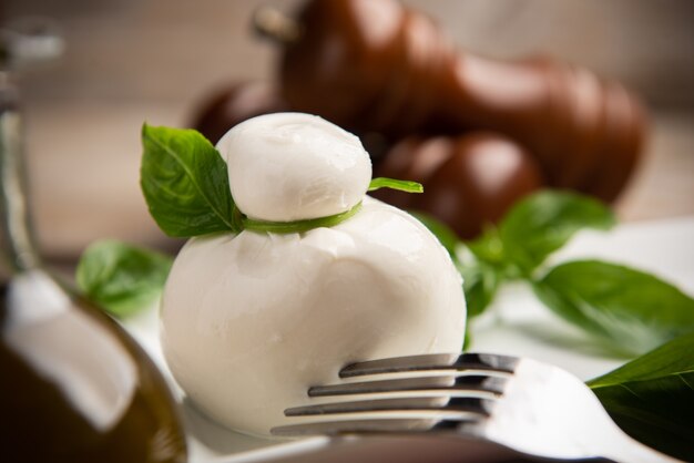 Delicious italian Burrata mozzarella cheese made with fresh milk close up