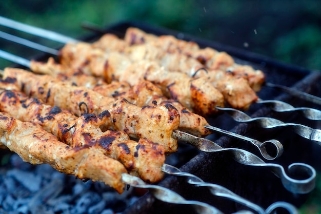 ピクニック中に火鉢でおいしい肉の串焼き