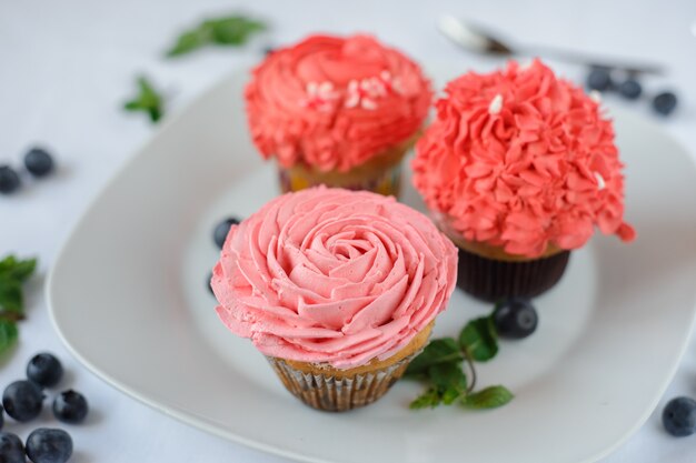 Delicious multi-colored cupcakes on a white plate on a white background.