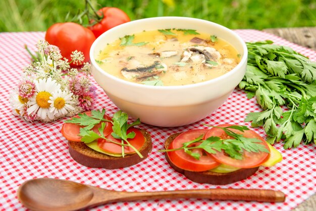 Delicious mushroom soup with tomatoes.