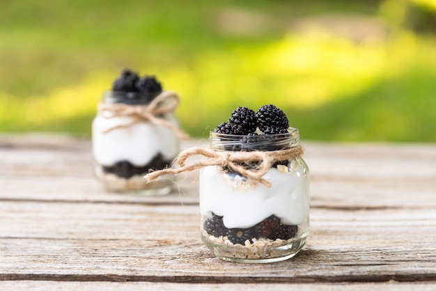 Delicious natural pudding with blackberries