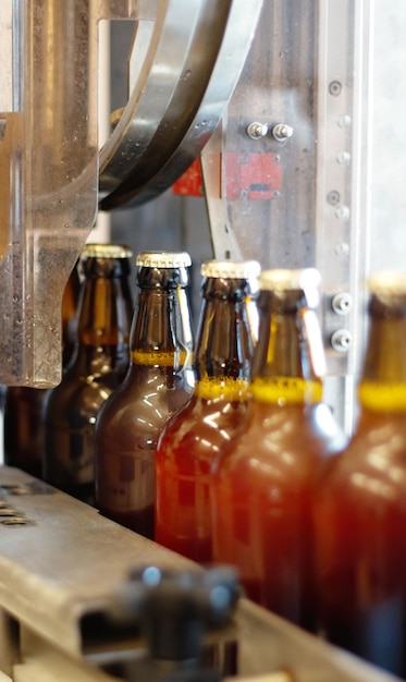 A delicious new brew Shot of beer bottles on a production line at a brewery