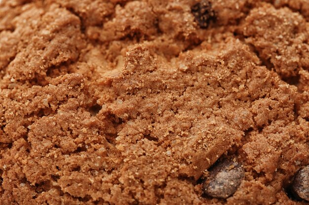 Delicious oatmeal cookie with chocolate chips as background