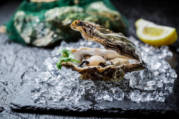 Delicious oysters on ice