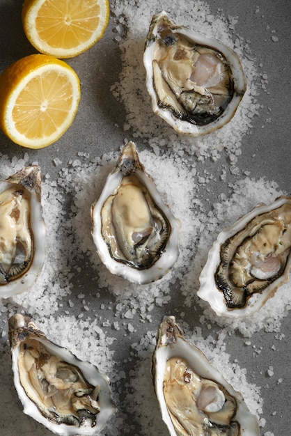 Delicious  oysters ready to eat still life