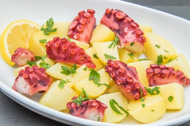 Delicious plate of octopus salad with potatoes