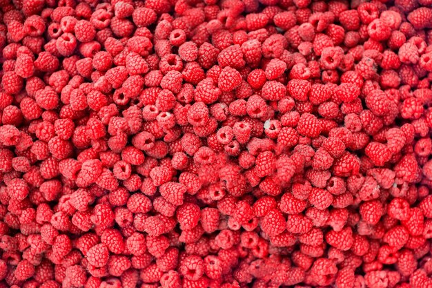 Photo delicious raspberries as background