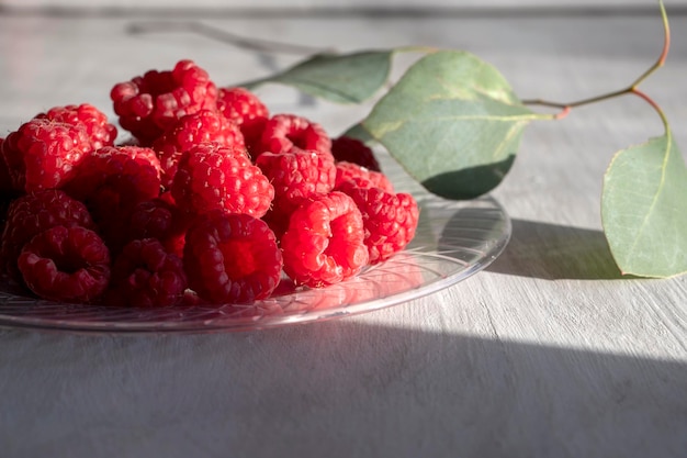 Delicious raspberries on plate with green leaves next to it
