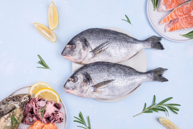 Foto vista dall'alto di pesce delizioso orata cruda