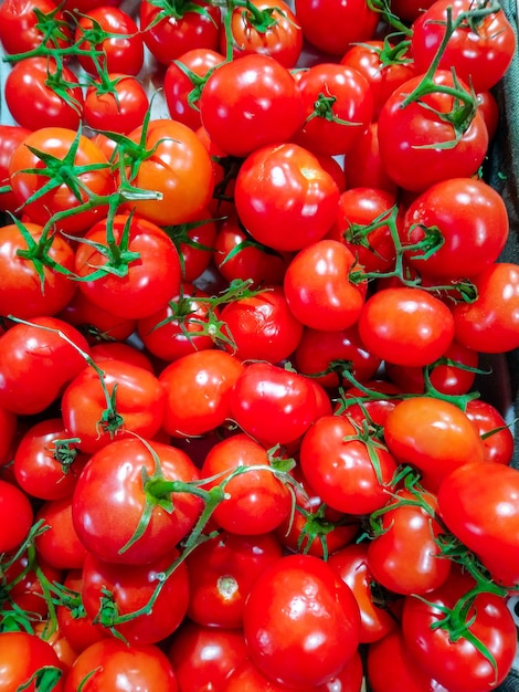 맛있는 빨간 토마토. 유기농 야채로 가득한 여름 트레이 시장 농업 농장 배경으로 사용할 수 있습니다. (선택적 초점)