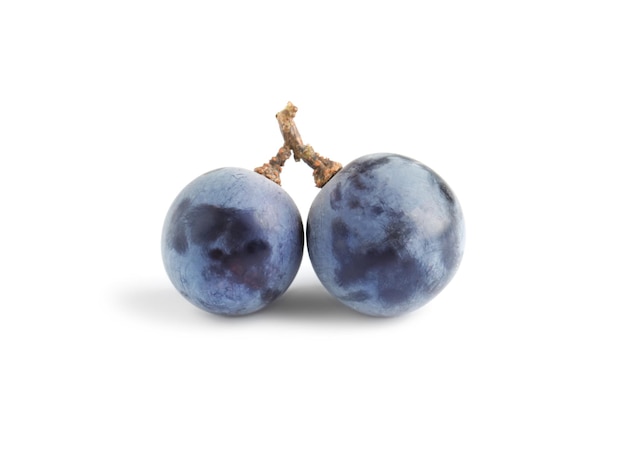 Delicious ripe dark blue grapes on white background