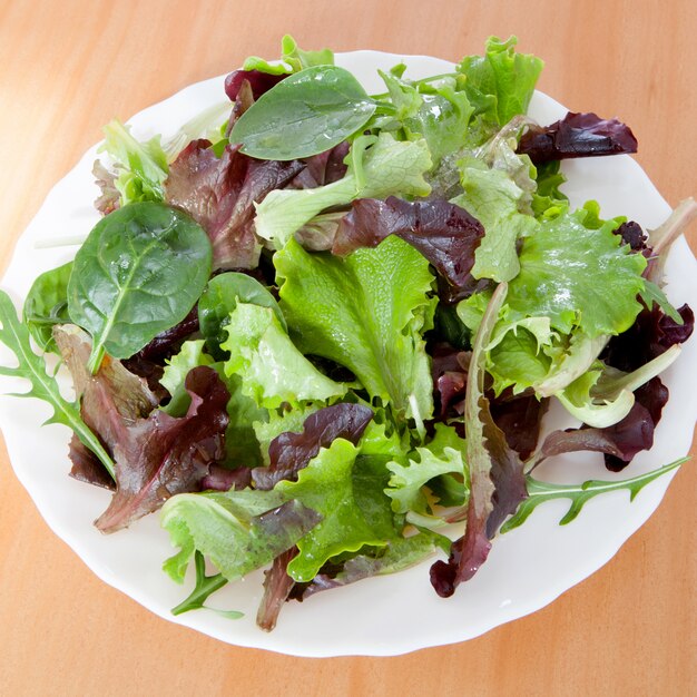 Delicious salad of different types of lettuce leaves