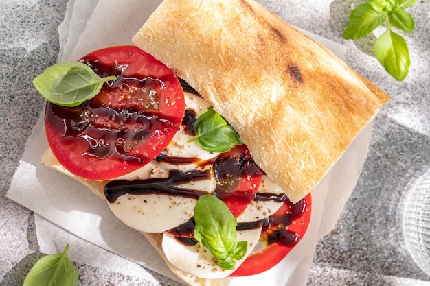 Delicious sandwich with caprese salad