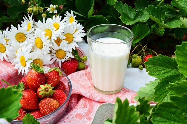 Delizioso latte al vapore su un asciugamano leggero con fragole e margherite di campo in stile rustico