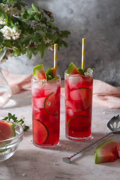 라임과 민트를 곁들인 맛있는 여름 과일 칵테일 레모네이드 음료. 파티 음료.
