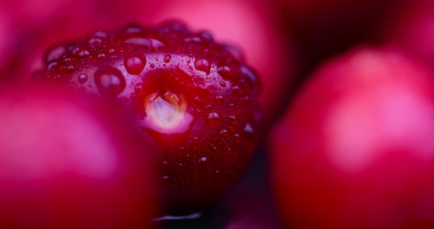 Фото Вкусные сладкие вишни на доске из сланца