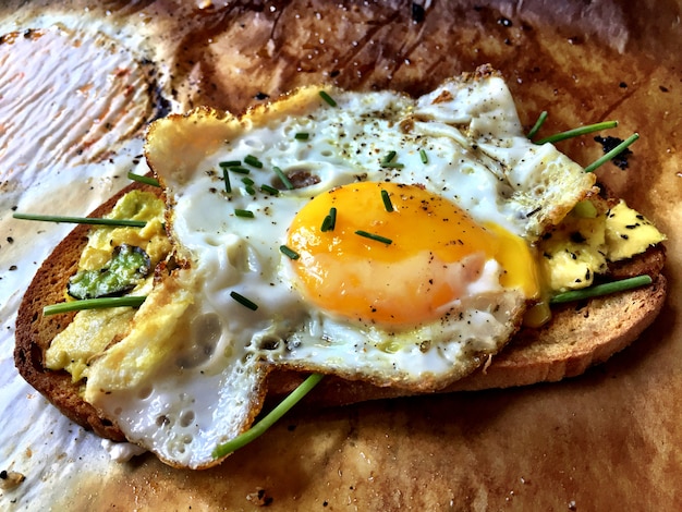 Delicious Tasty Avocado Eggs and Tomato Cheese Toasts