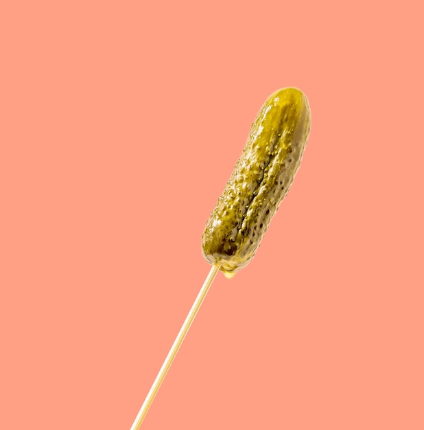 Delicious whole pickle with marinade droplets on a stick on a pink background