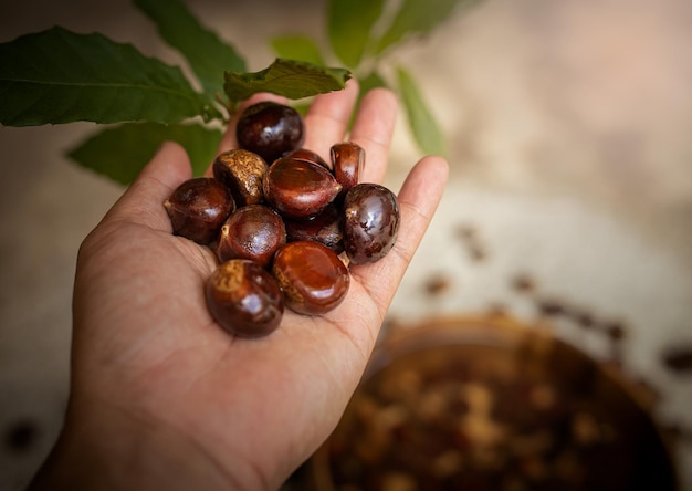 Foto deliziose castagne gialle dalla natura