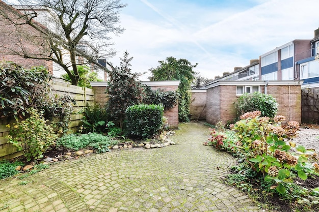 Delightful landscape of the courtyard with greenery