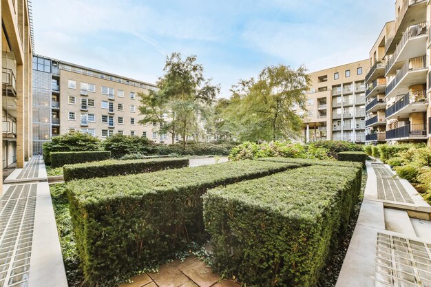 Delightful landscape of the courtyard