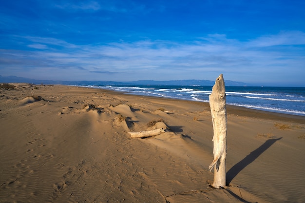 Foto spiaggia del delta dell'ebro punta del fangar