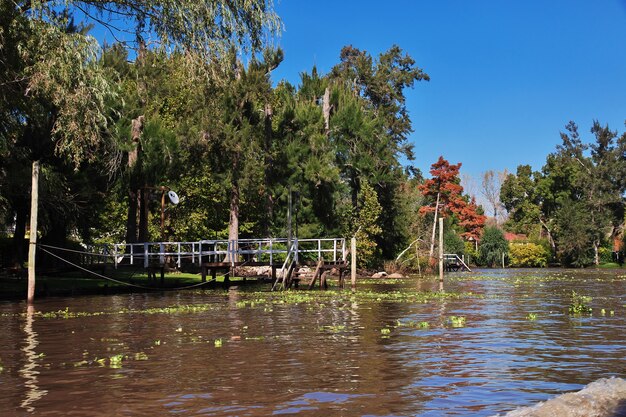 The delta of Tigre river, Buenos Aires, Argentina