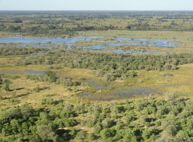 Delta van de Okavango