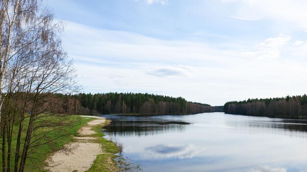 Delta van de rivier die door het bos stroomt Zonnig landschap