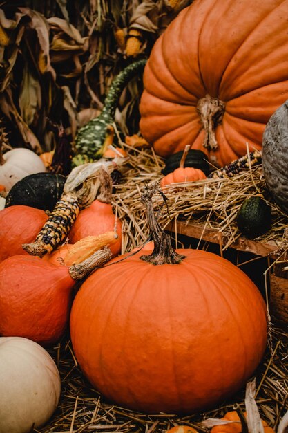 Premium Photo  Delve into the historical origins of halloween traditions beliefs and ancient rites