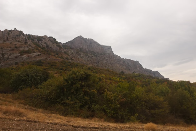 Demerdzhi slope in cloudy weather