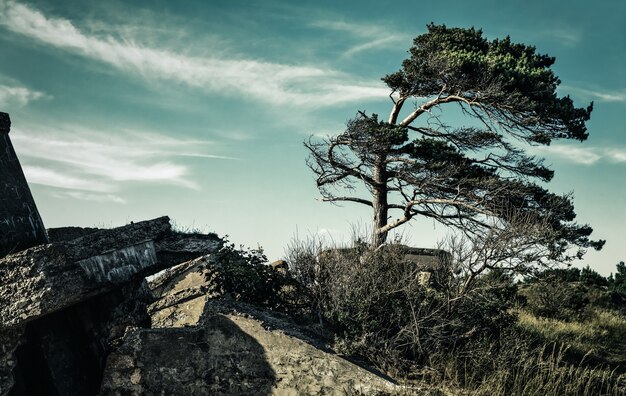 Demolished military forts