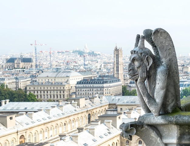 Demon gargoyle van Notre Dame van Parijs