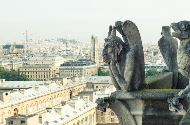 demonen gargoyle und chimera van Notre Dame van Parijs