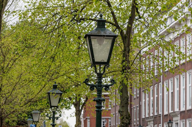 Den Haag in Nederland