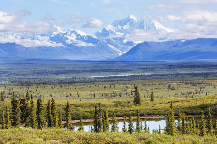 Foto denali (mckinley) piek in alaska, vs