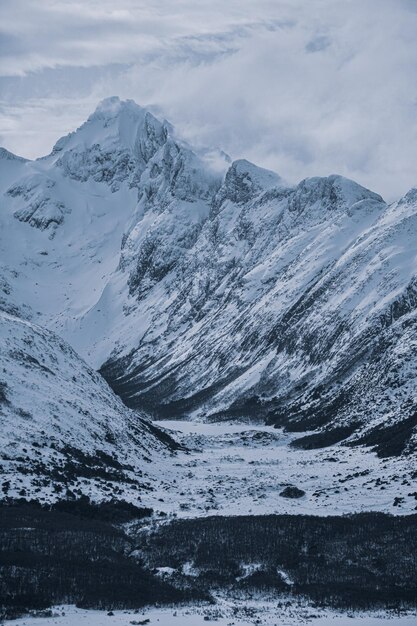 denali national park