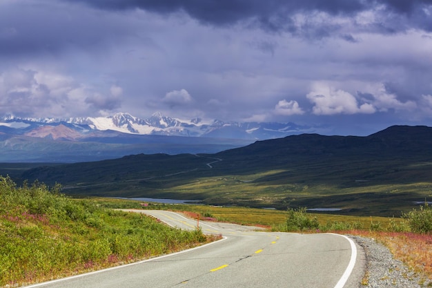 Denali snelweg