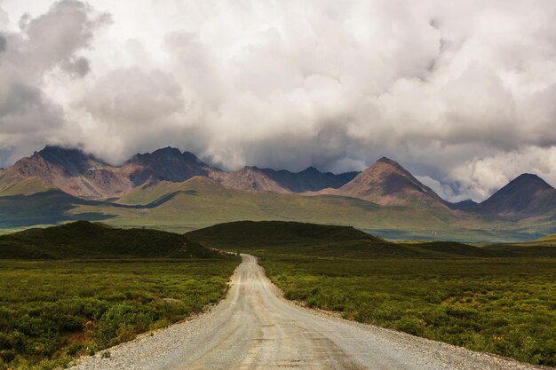 Denali snelweg