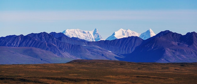 Denali snelweg