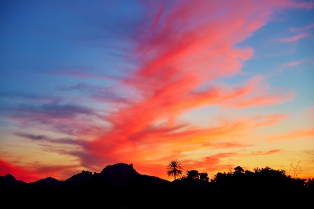 Denia cielo al tramonto con palme e montagne