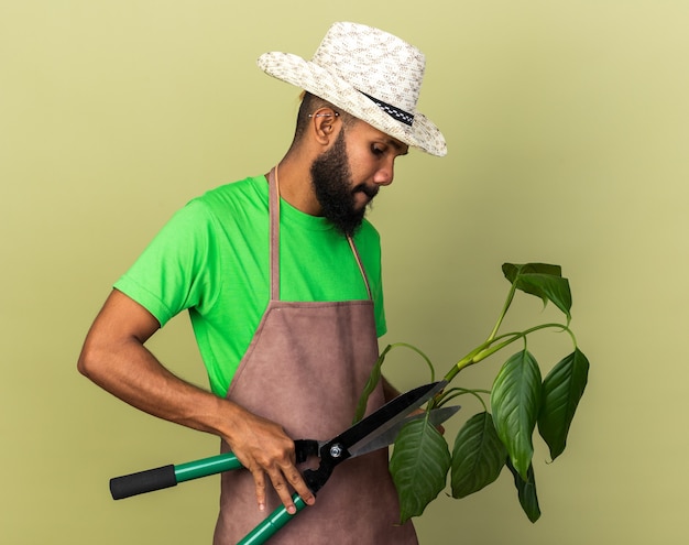 Denkende jonge tuinman Afro-Amerikaanse man met tuinhoed die vasthoudt en kijkt naar plant met tondeuse geïsoleerd op olijfgroene muur
