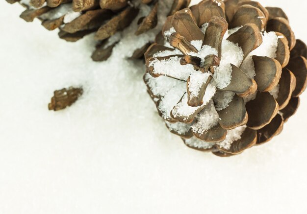 Denneappels op de achtergrond van het sneeuwbeeld.