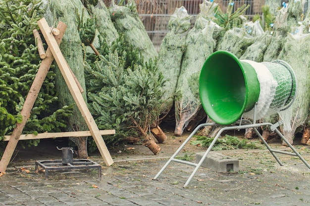 Dennen en groene netbuis op de markt geen mensen Kerstboomconcept kopen Selectieve focus