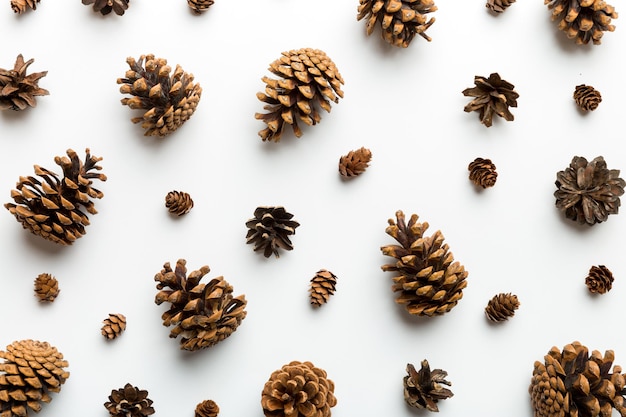 Dennenappels op gekleurde tafel. natuurlijke vakantie achtergrond met dennenappels gegroepeerd. Plat leggen. Winterconcept