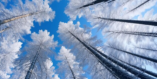 Foto dennenbomen bedekt met vorst en sneeuw op een zonnige winterdagai generatief