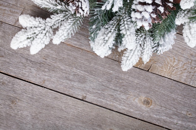 Dennenboom op houten plank