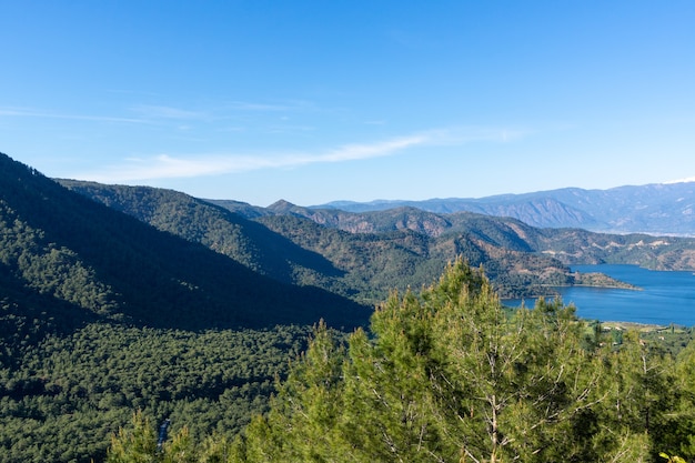 Dennenbos boven zee in Mugla - Turkije