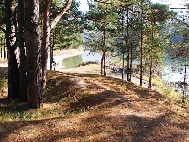 DEnnenKUST BINNENWATER ALTAI